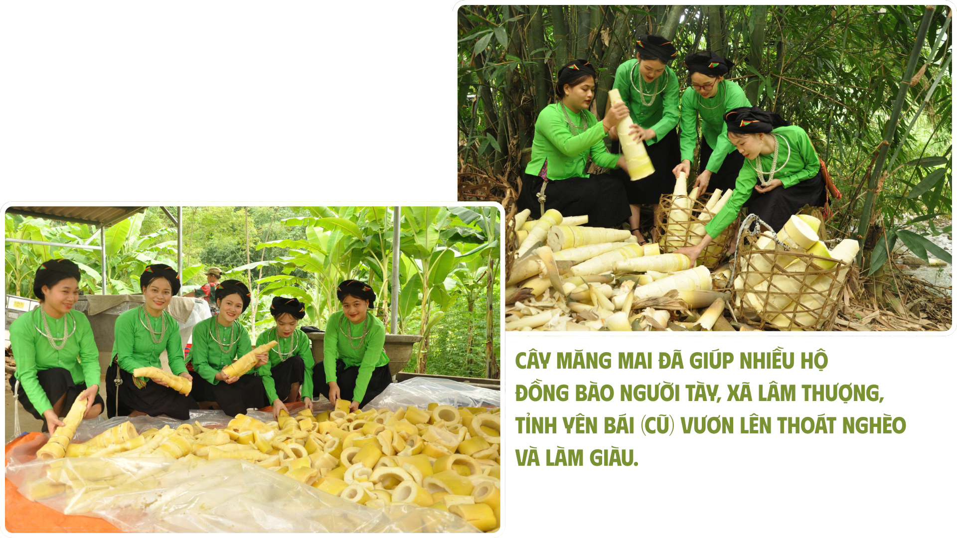 co-hoi-vang-de-phat-trien-kinh-te-nong-nghiep-3.png