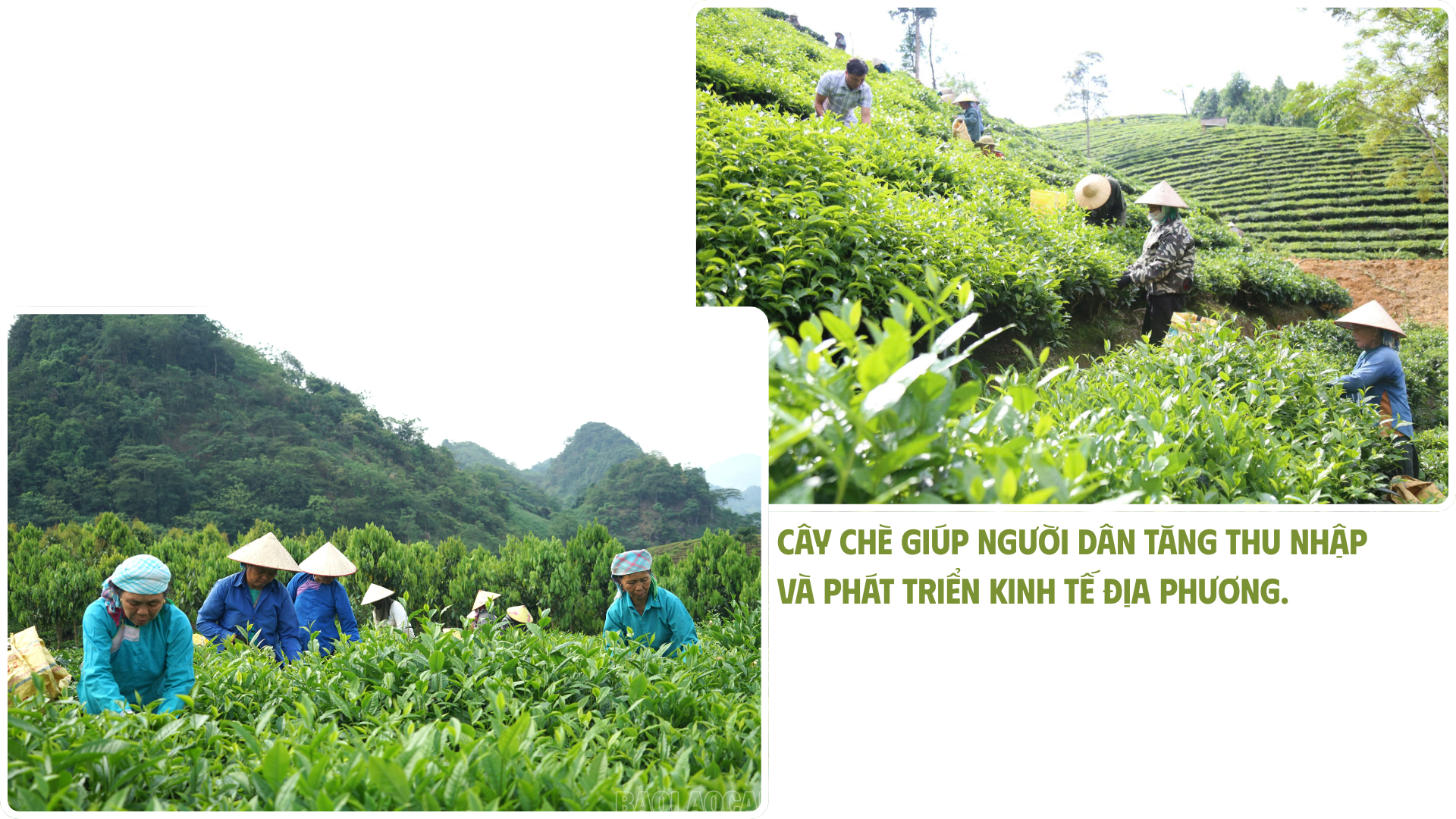 co-hoi-vang-de-phat-trien-kinh-te-nong-nghiep-2.png