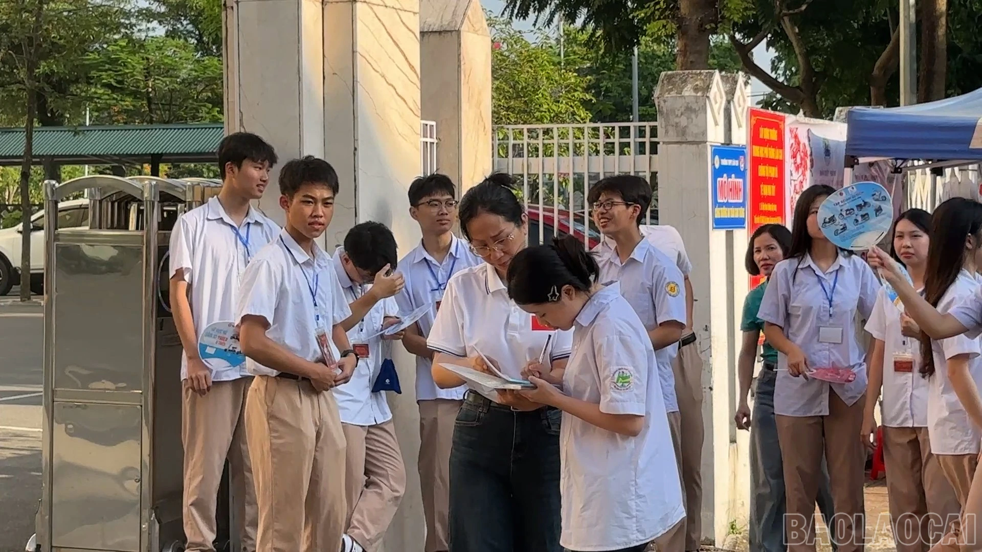baolaocai-br_3.jpg