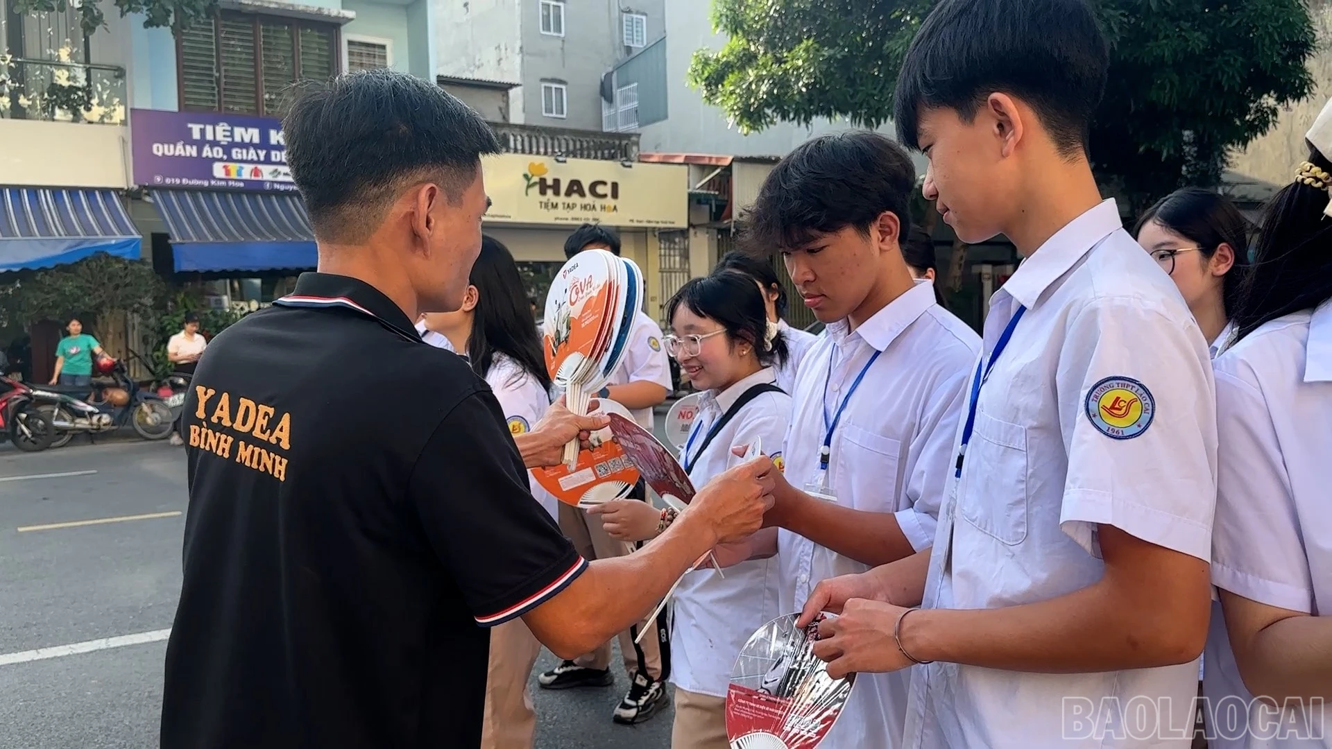 baolaocai-br_4.jpg
