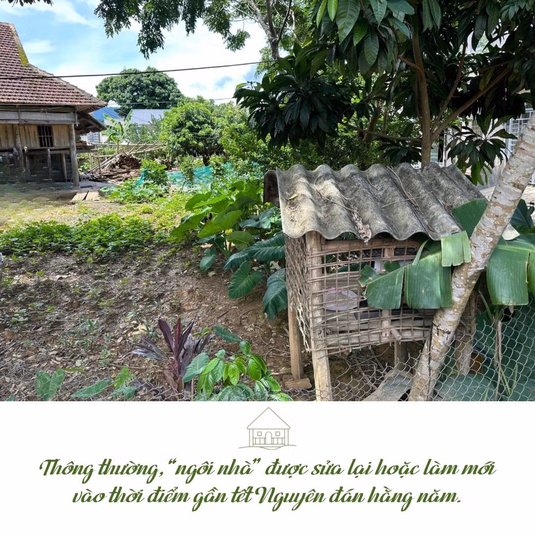 “Hơn nghe” - 6.jpeg