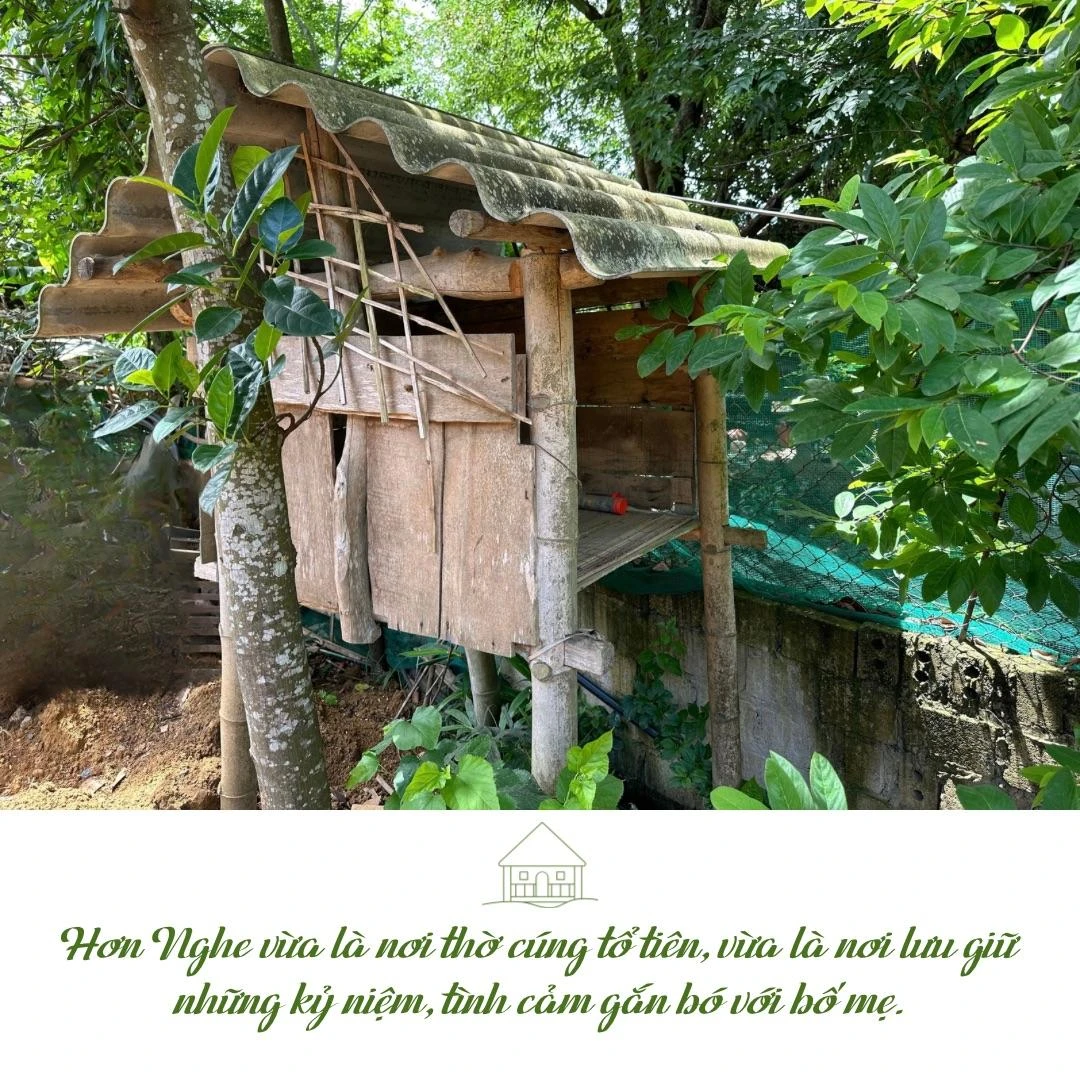 “Hơn nghe” - 5.jpeg