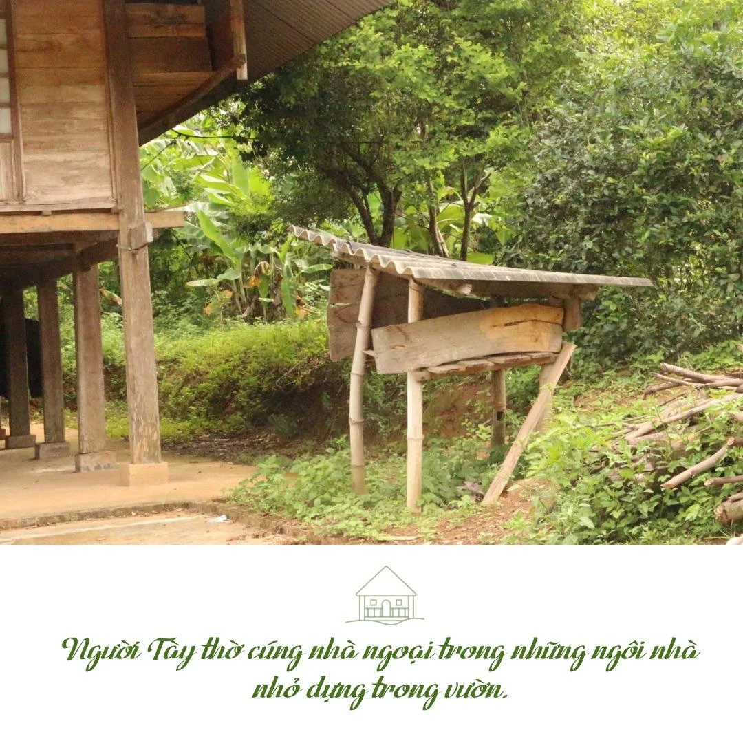 “Hơn nghe” - 2.jpeg