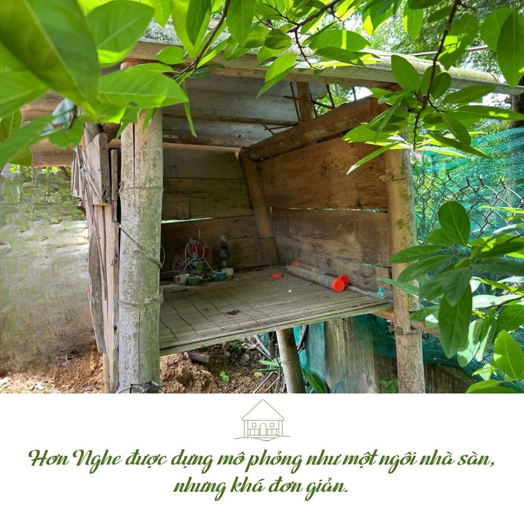 “Hơn nghe” - 4.jpeg