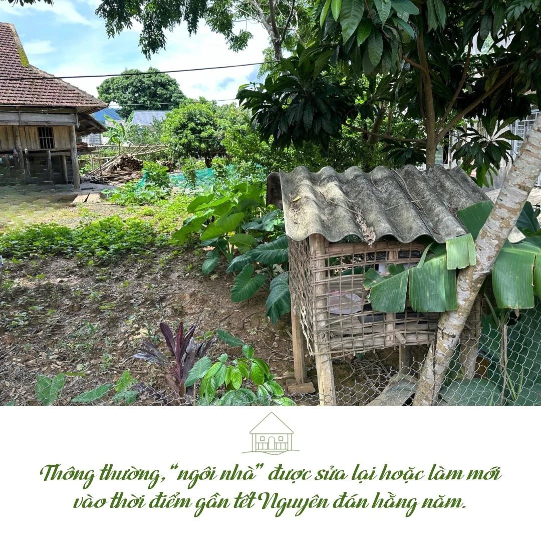 “Hơn nghe” - 6.jpeg