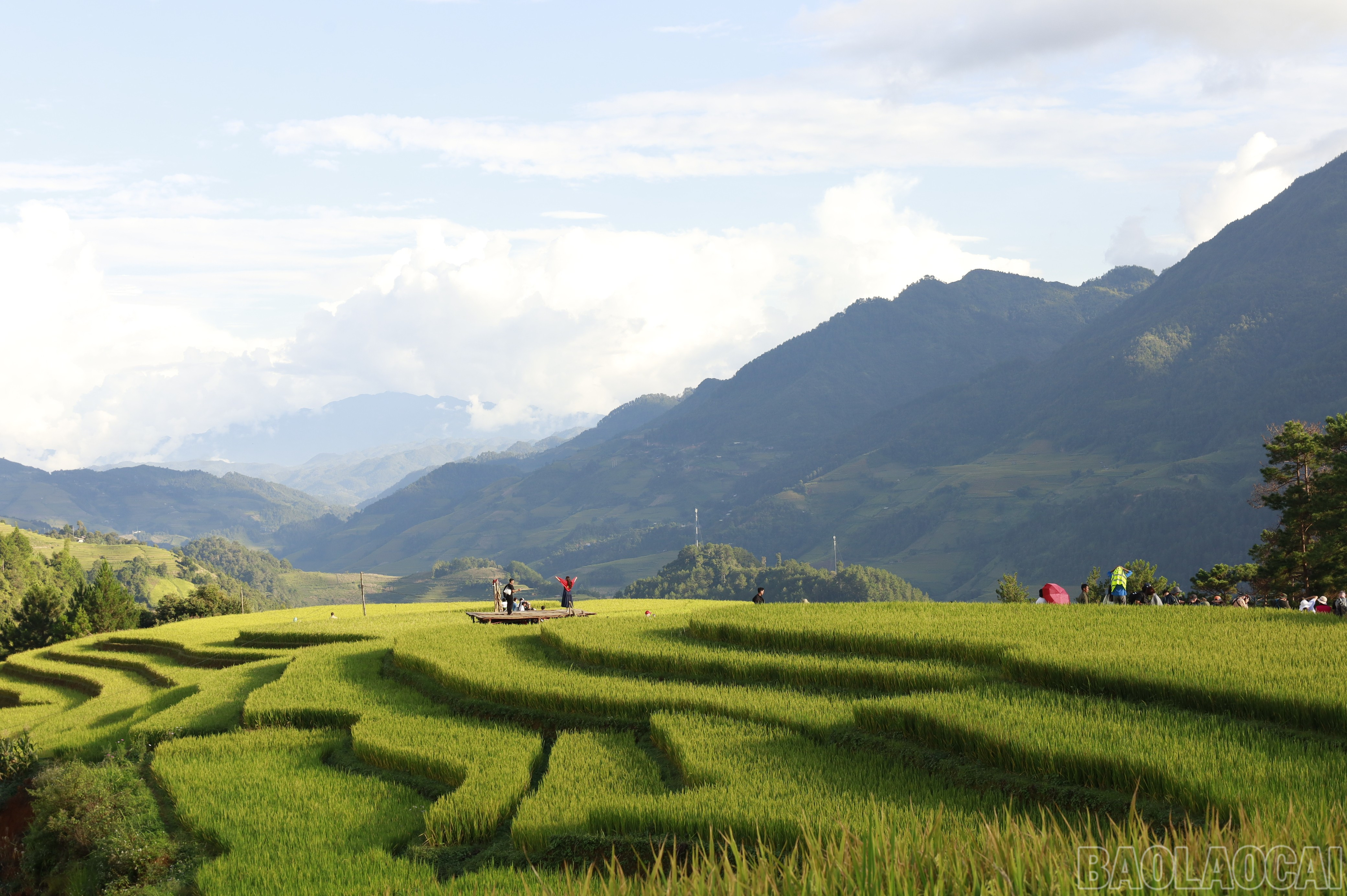 Ruộng bậc thang tại Mù Cang Chải đang mùa đẹp nhất. baolaocai-br_mg-8507.jpg
