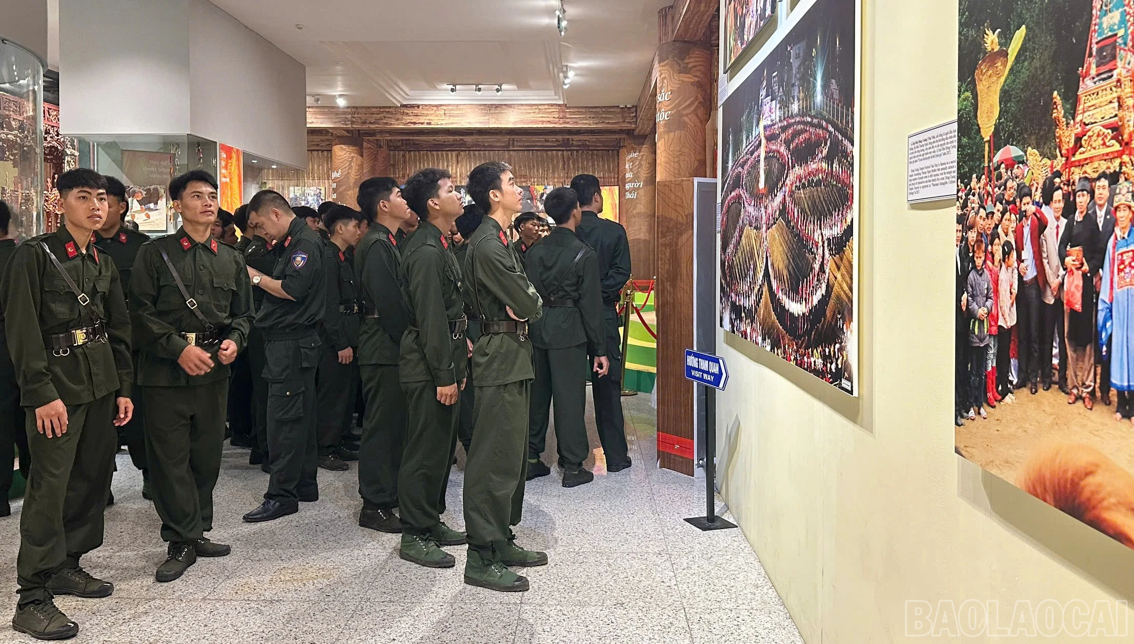 baolaocai-br_3.jpg