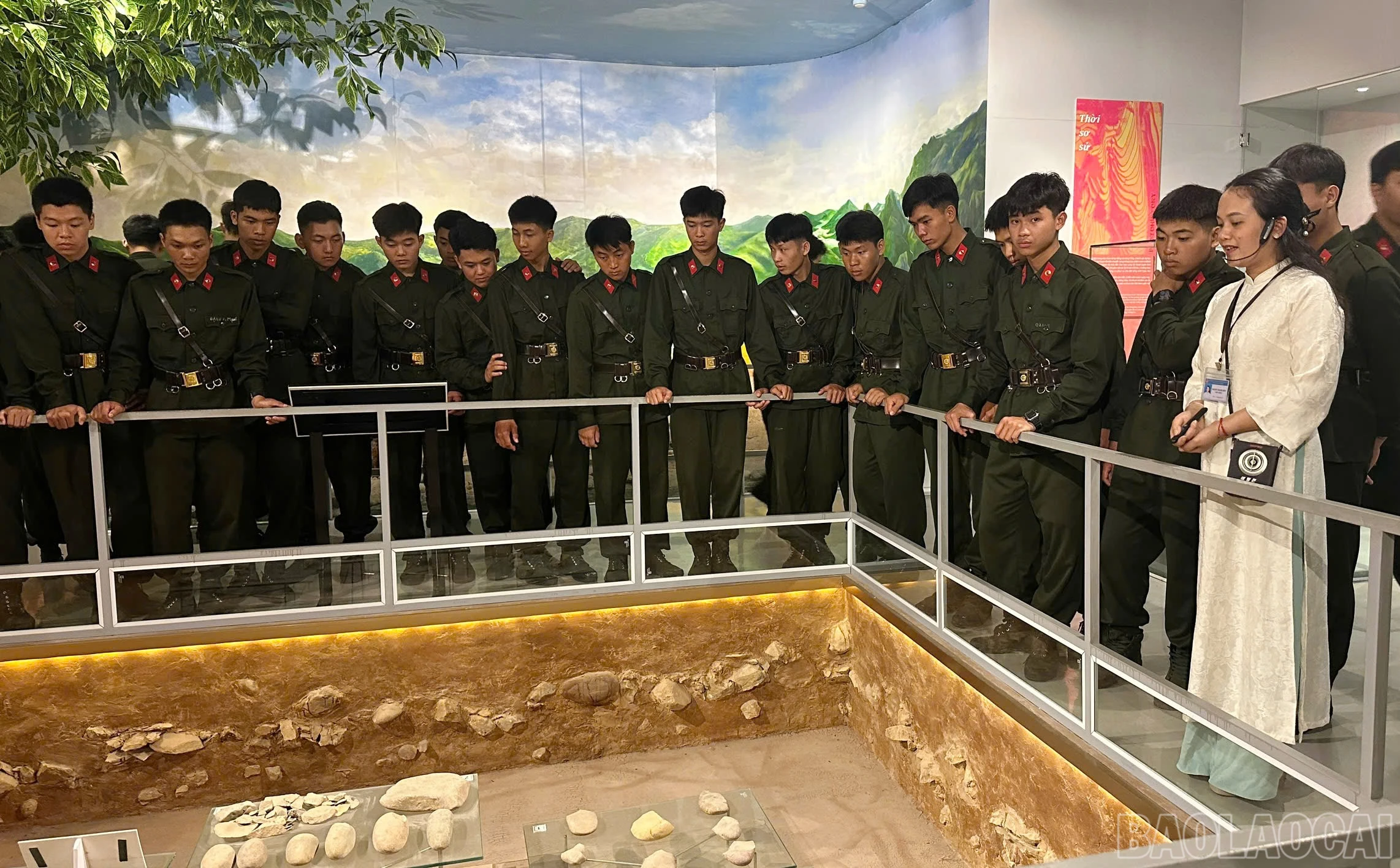 baolaocai-br_2.jpg