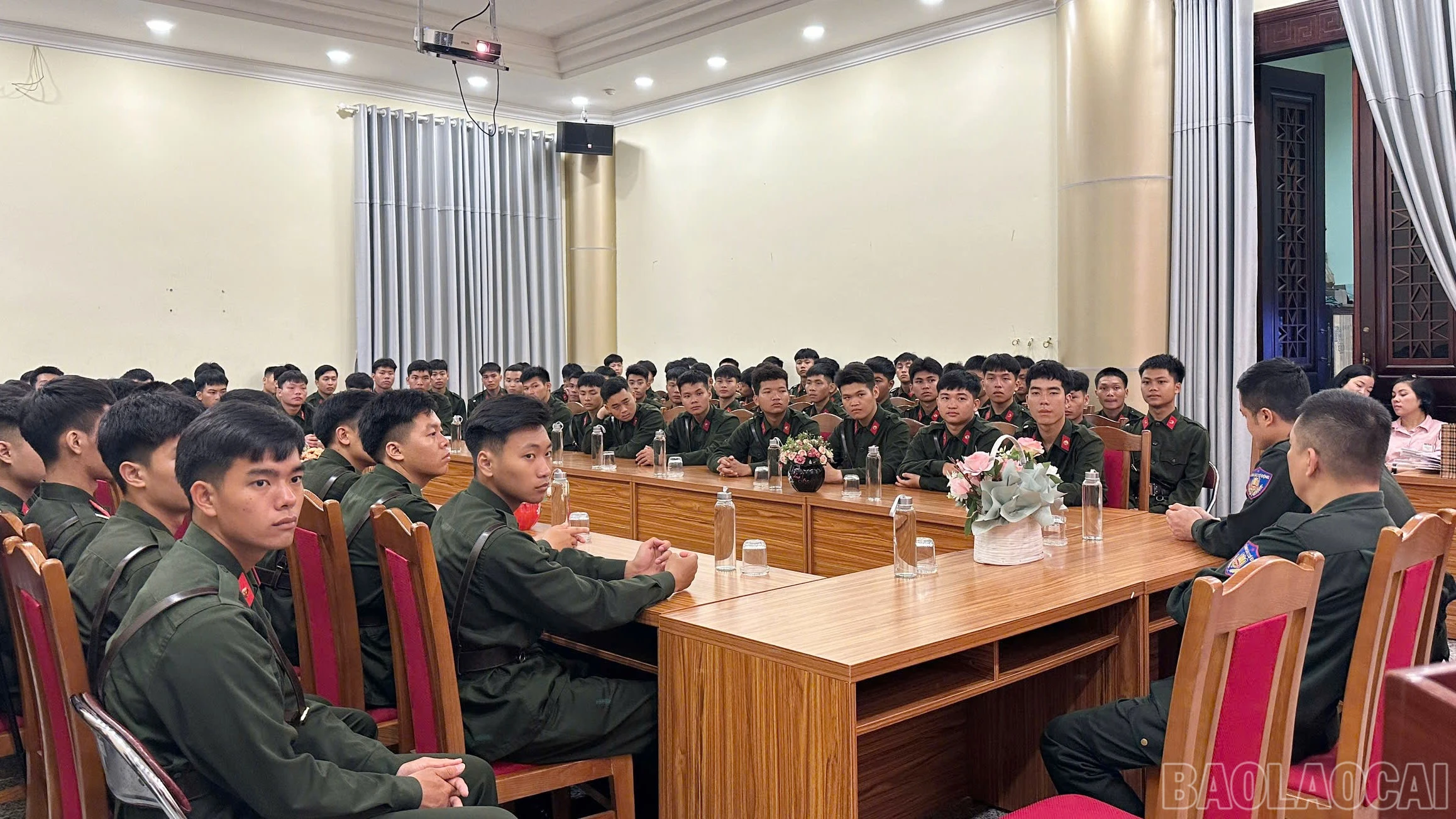 baolaocai-br_4.jpg