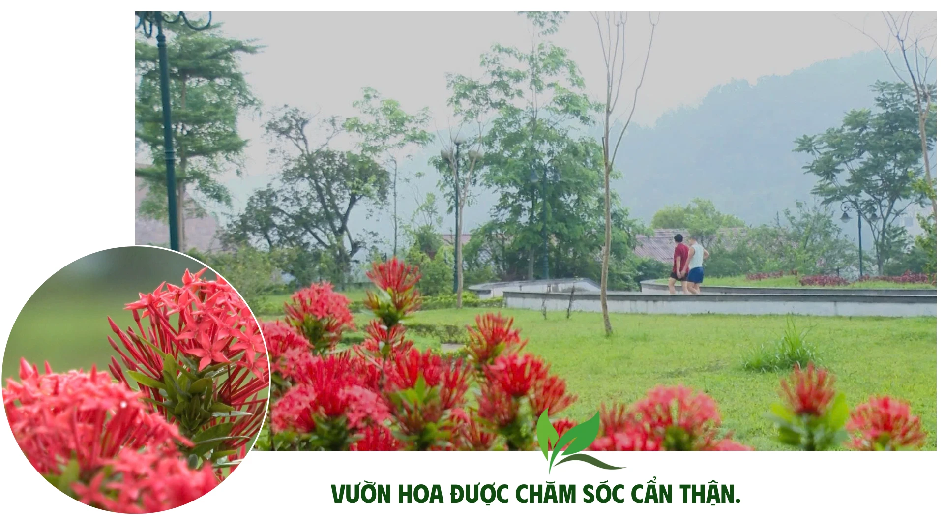 cong-vien-dong-tam-duoc-quy-hoach-dong-bo-gom-cac-phan-khu-chuc-nang-van-hoa-the-thao-vui-choi-giai-tri-3.png