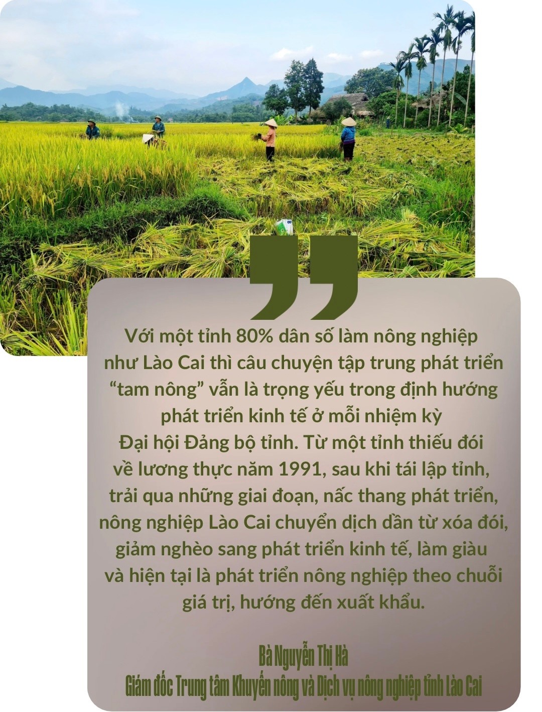 Lào Cai.jpeg