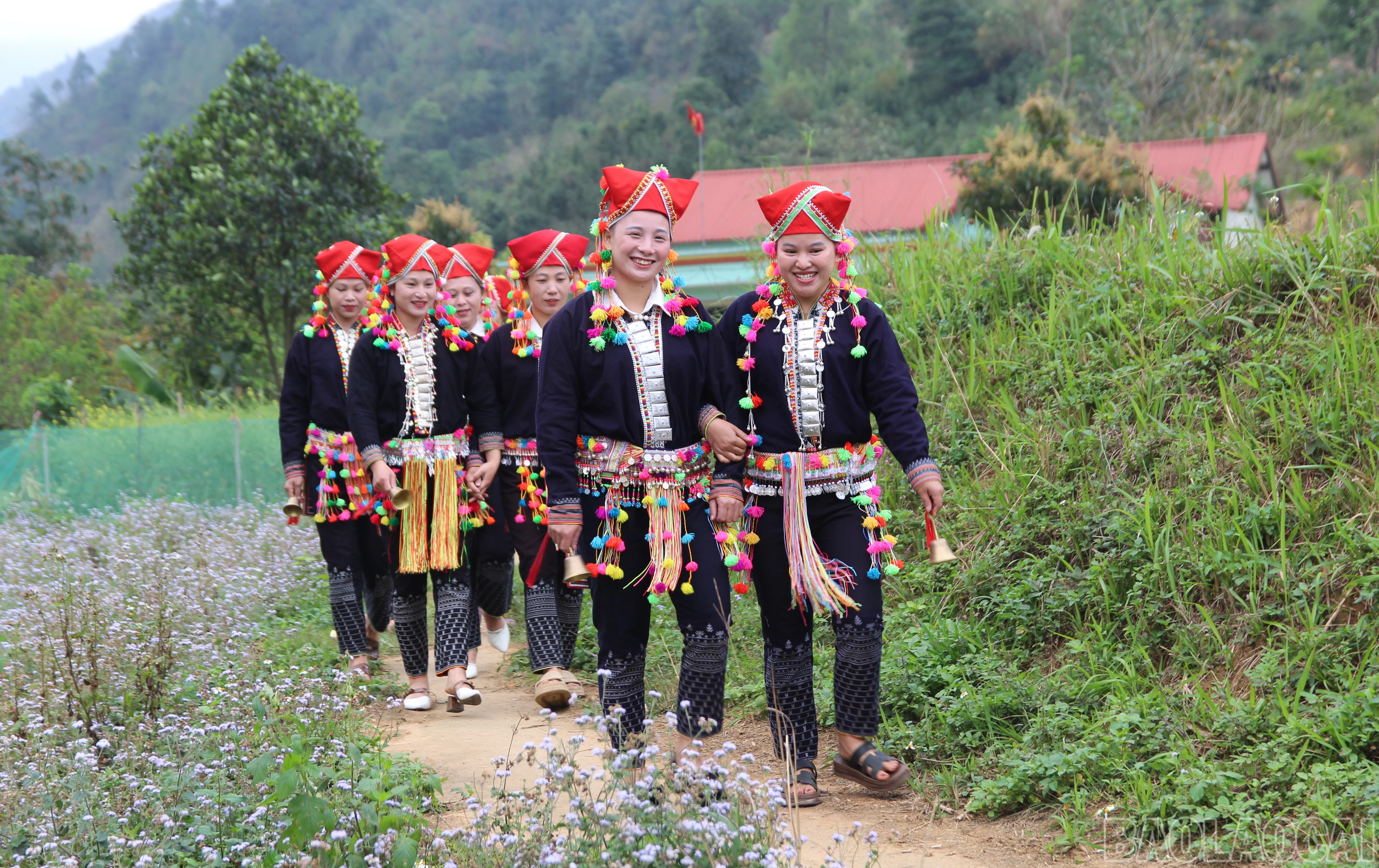 baolaocai-br_1-4506.jpg