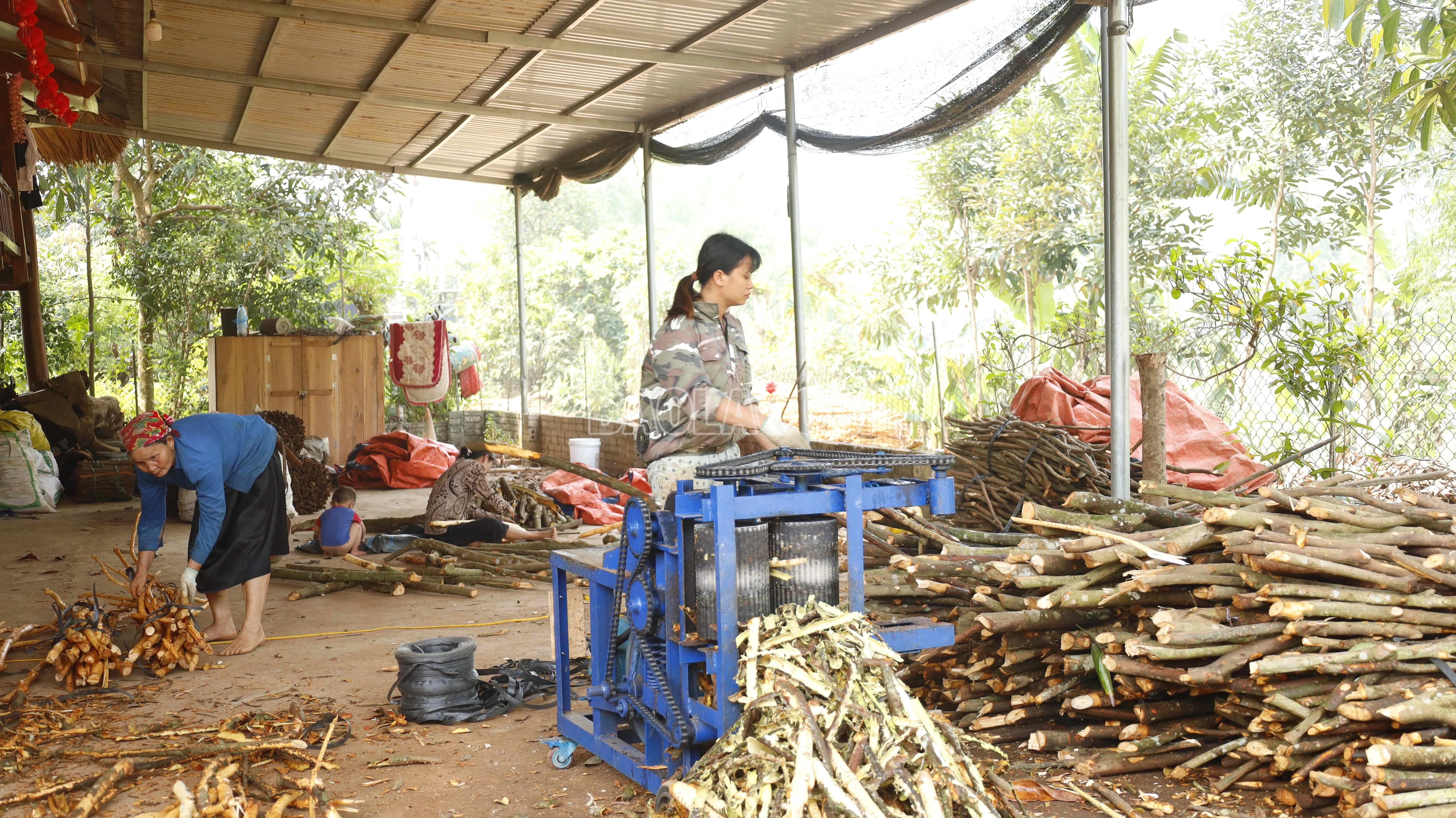 baolaocai-c_nong-dan-xa-nghia-do-so-che-vo-que.jpg