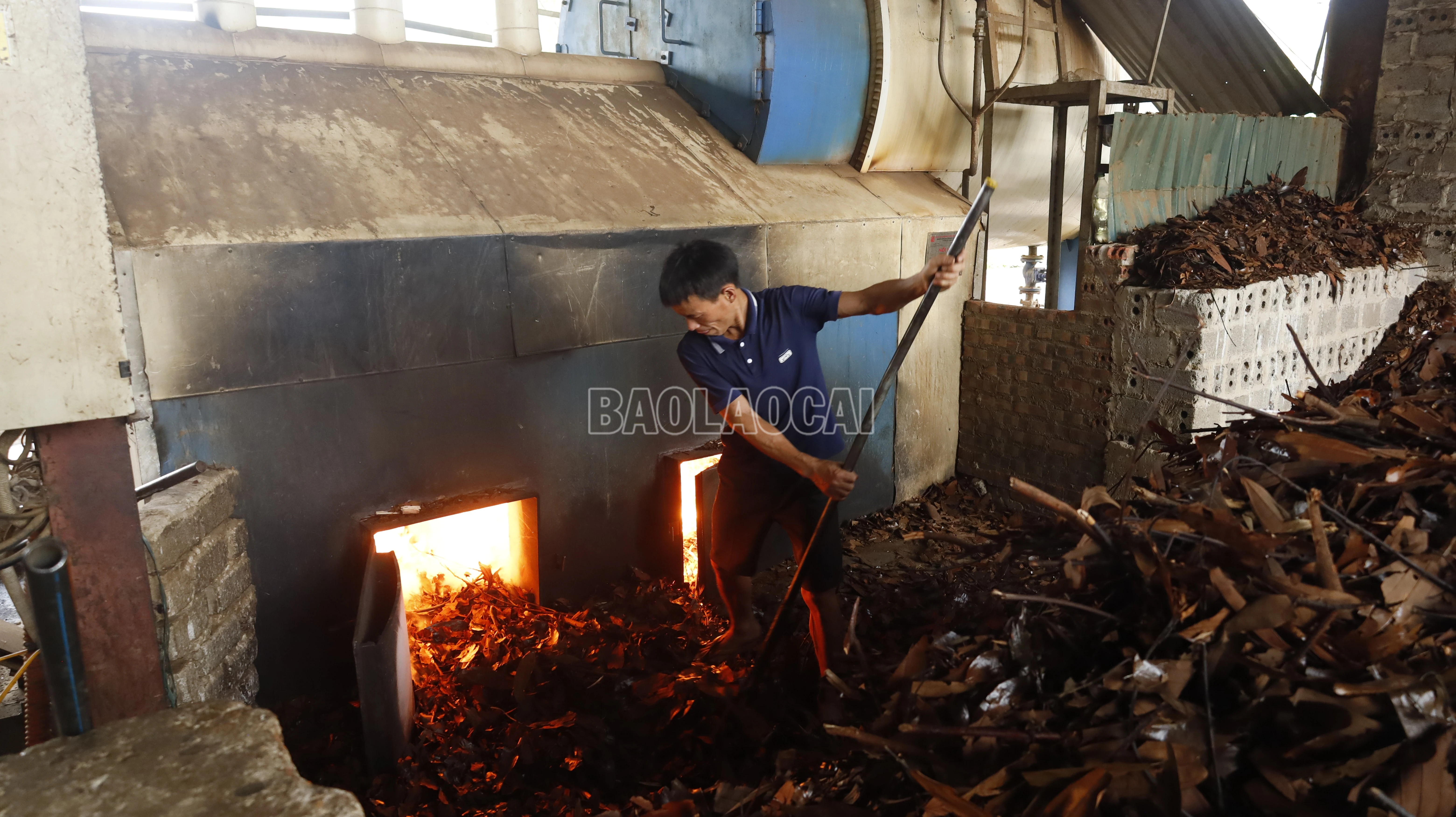baolaocai-c_tinh-dau-que-tai-lao-cai-hien-nay-da-so-o-muc-tinh-dau-tho.jpg