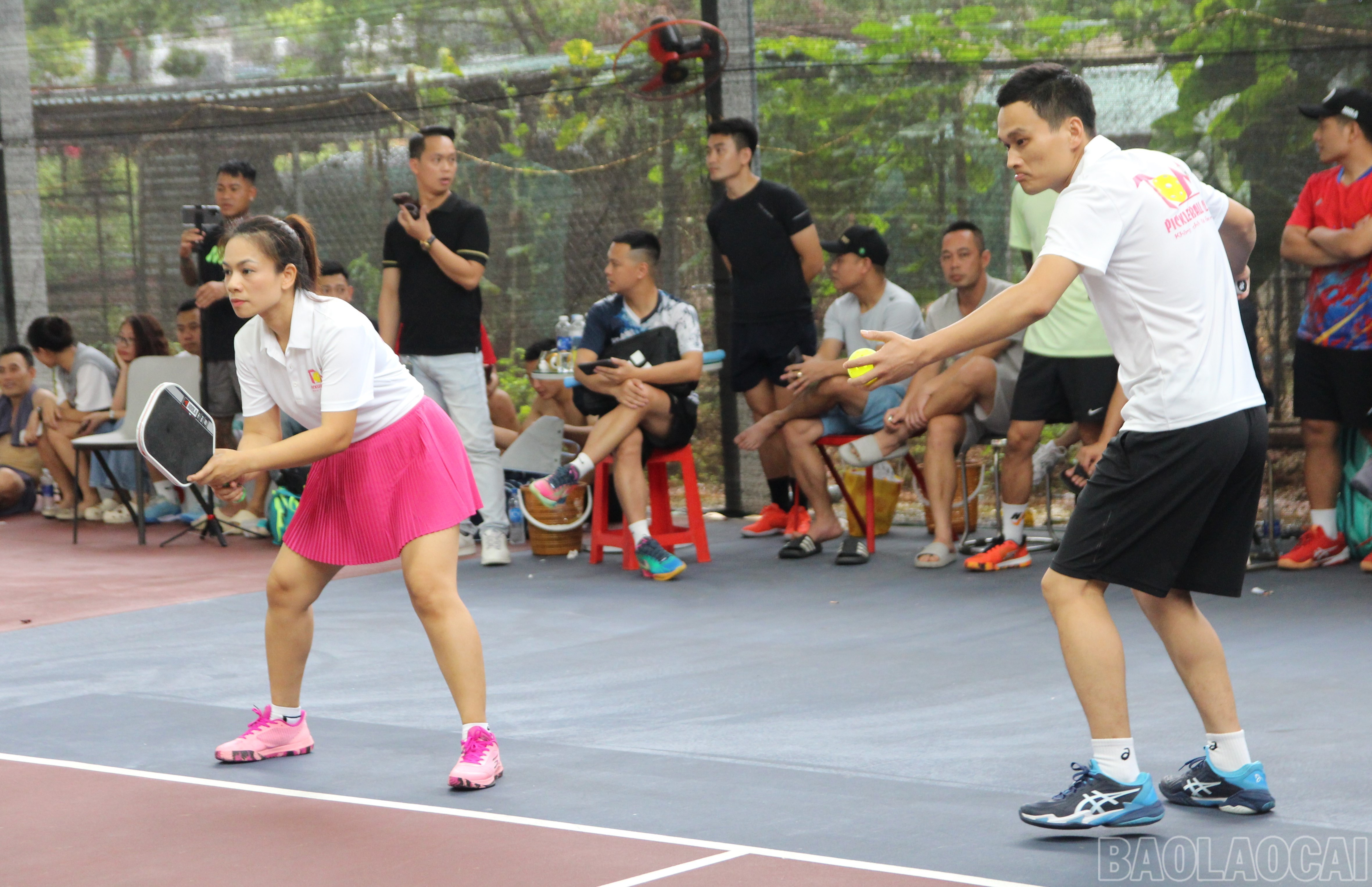 Giao bóng chiến thuật - bước mở màn quan trọng trong mỗi trận pickleball. baolaocai-br_6-7538.jpg