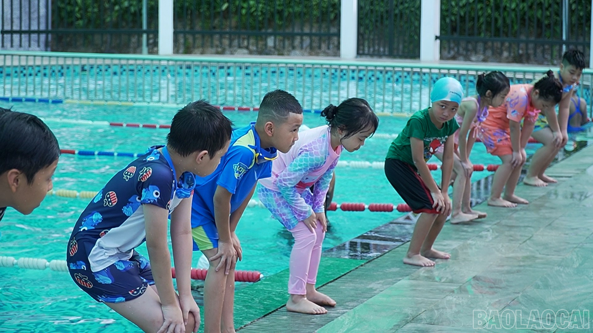 Lớp học bơi thu hút học viên. baolaocai-br_m.jpg