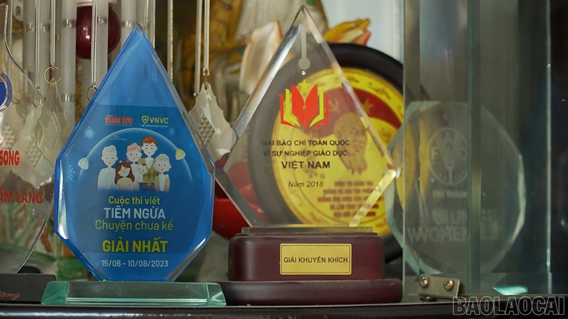 Die Autorin Tran Thi Minh hat viele Preise gewonnen. baolaocai-br_11.jpg