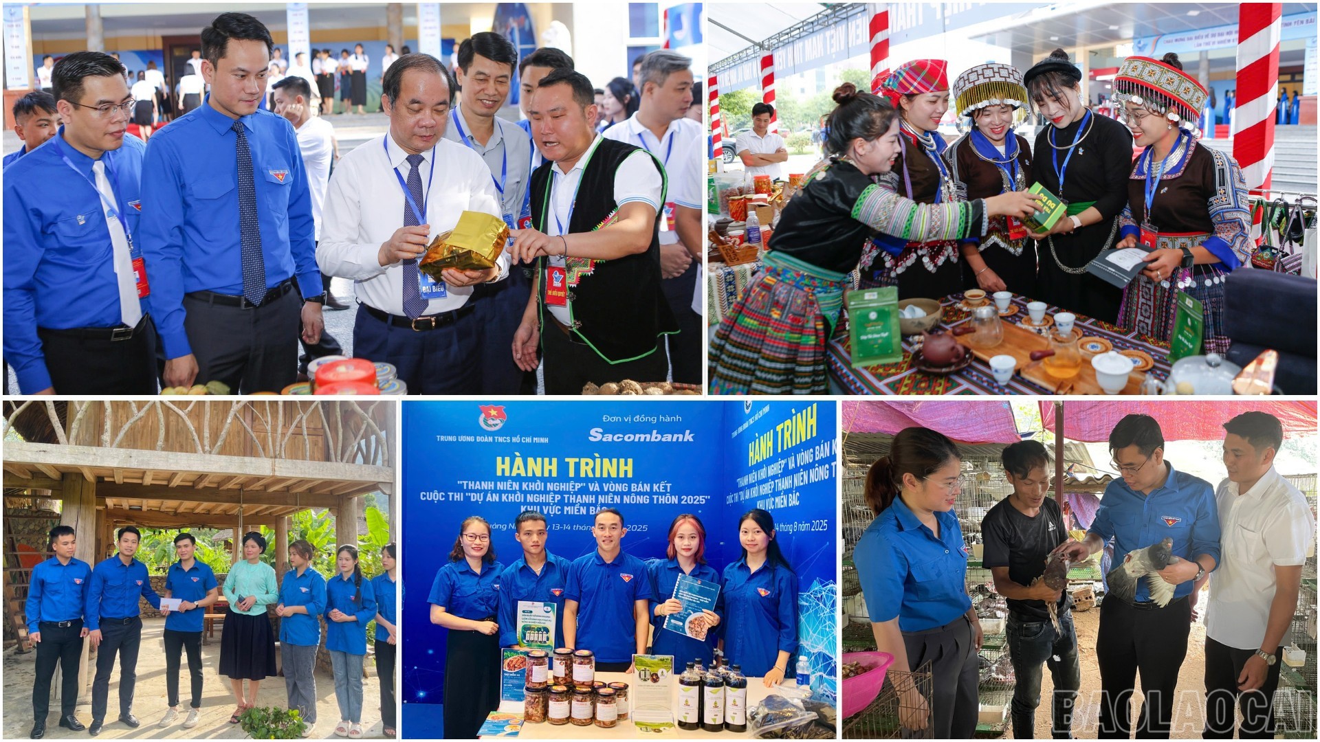 Phong trào sáng tạo khởi nghiệp diễn ra sôi nổi.