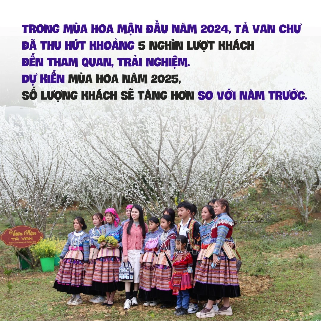 nhung-vuon-man-no-hoa-trang-muot-tro-thanh-diem-chup-anh-cho-du-khachzip-3.png