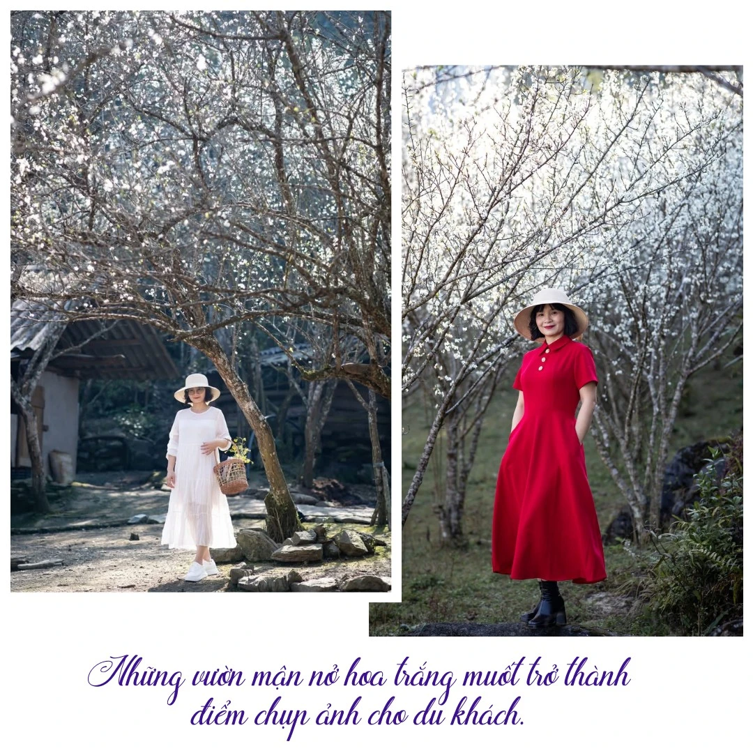 nhung-vuon-man-no-hoa-trang-muot-tro-thanh-diem-chup-anh-cho-du-khachzip-1.png