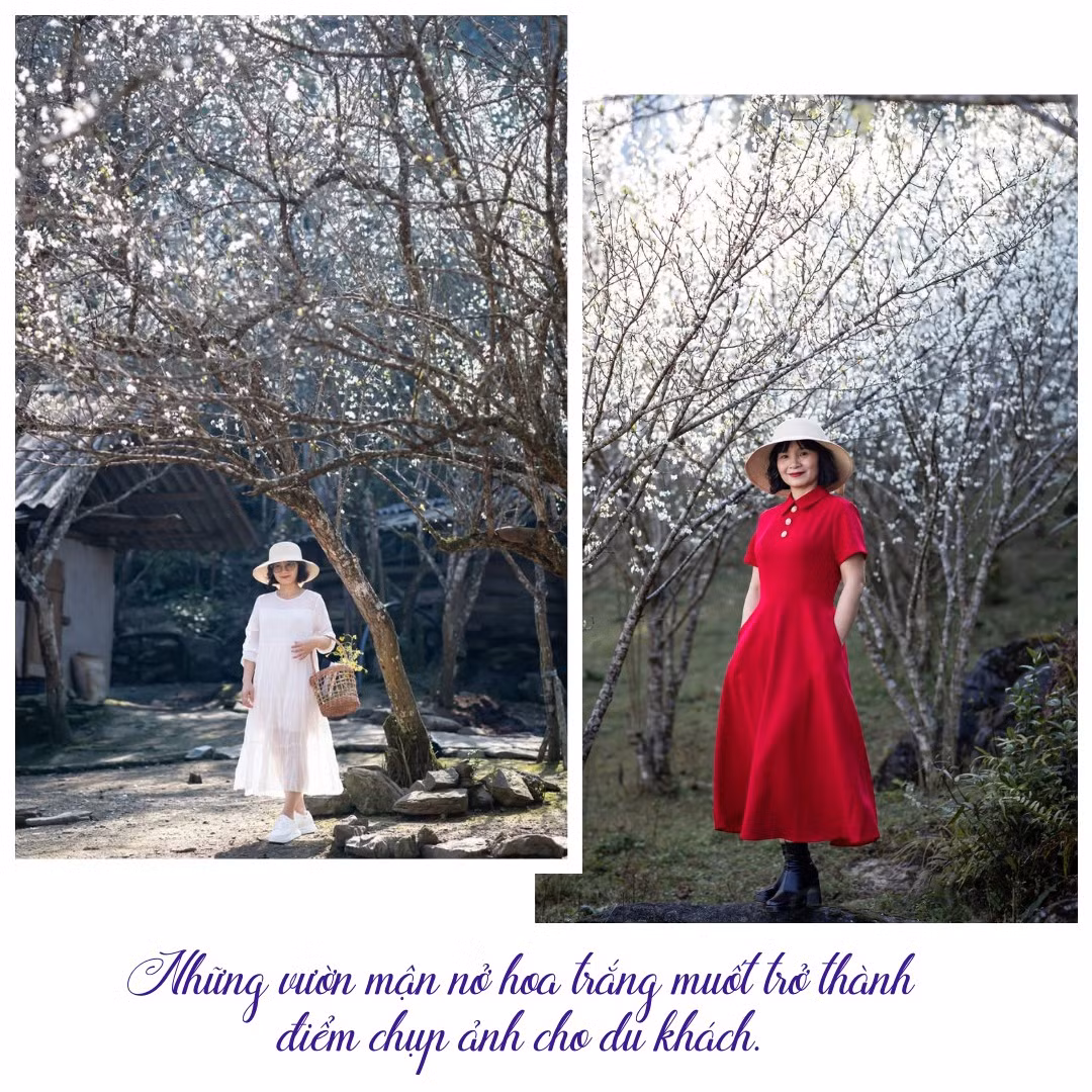 nhung-vuon-man-no-hoa-trang-muot-tro-thanh-diem-chup-anh-cho-du-khachzip-1.png
