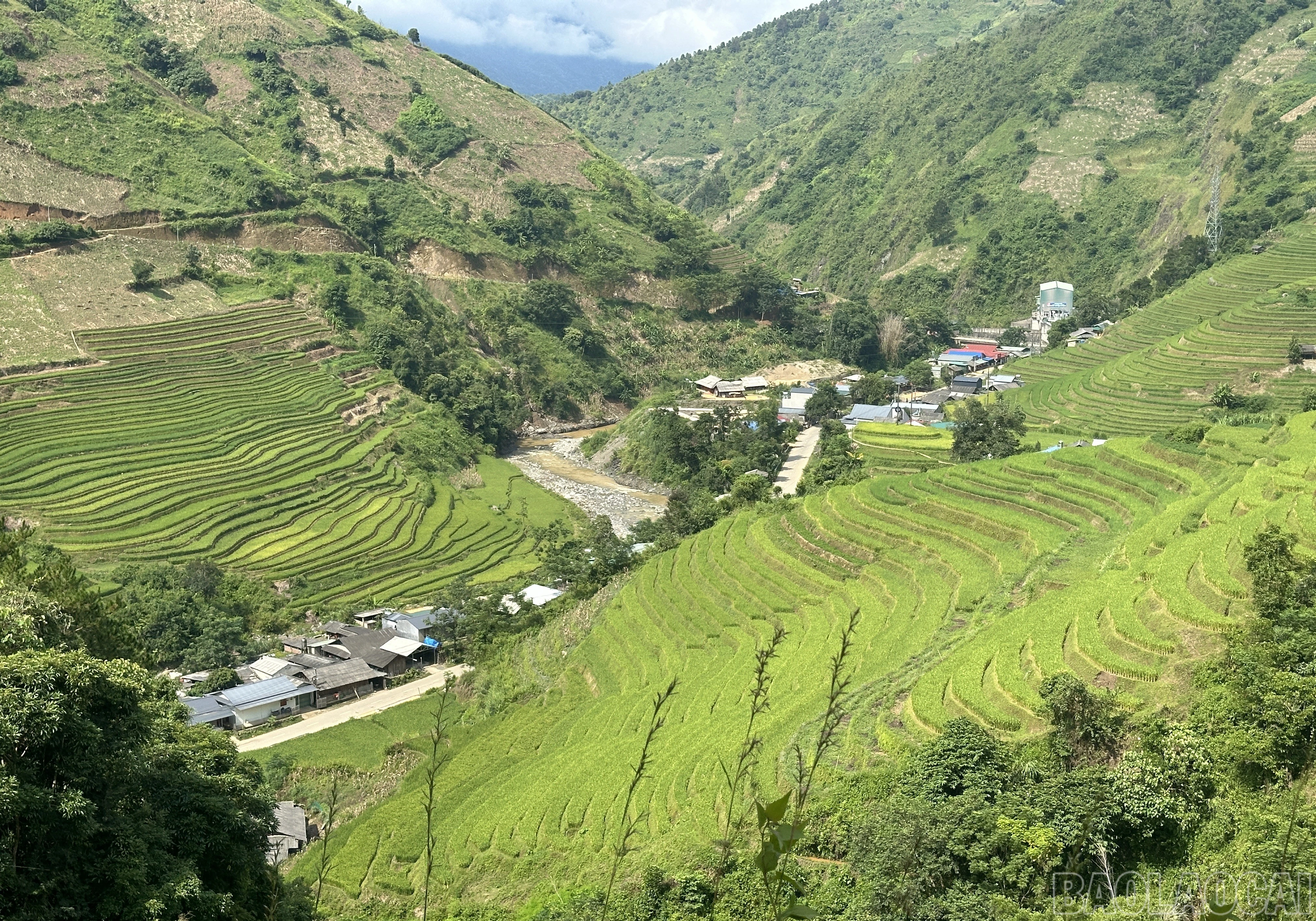baolaocai-br_5-7718.jpg