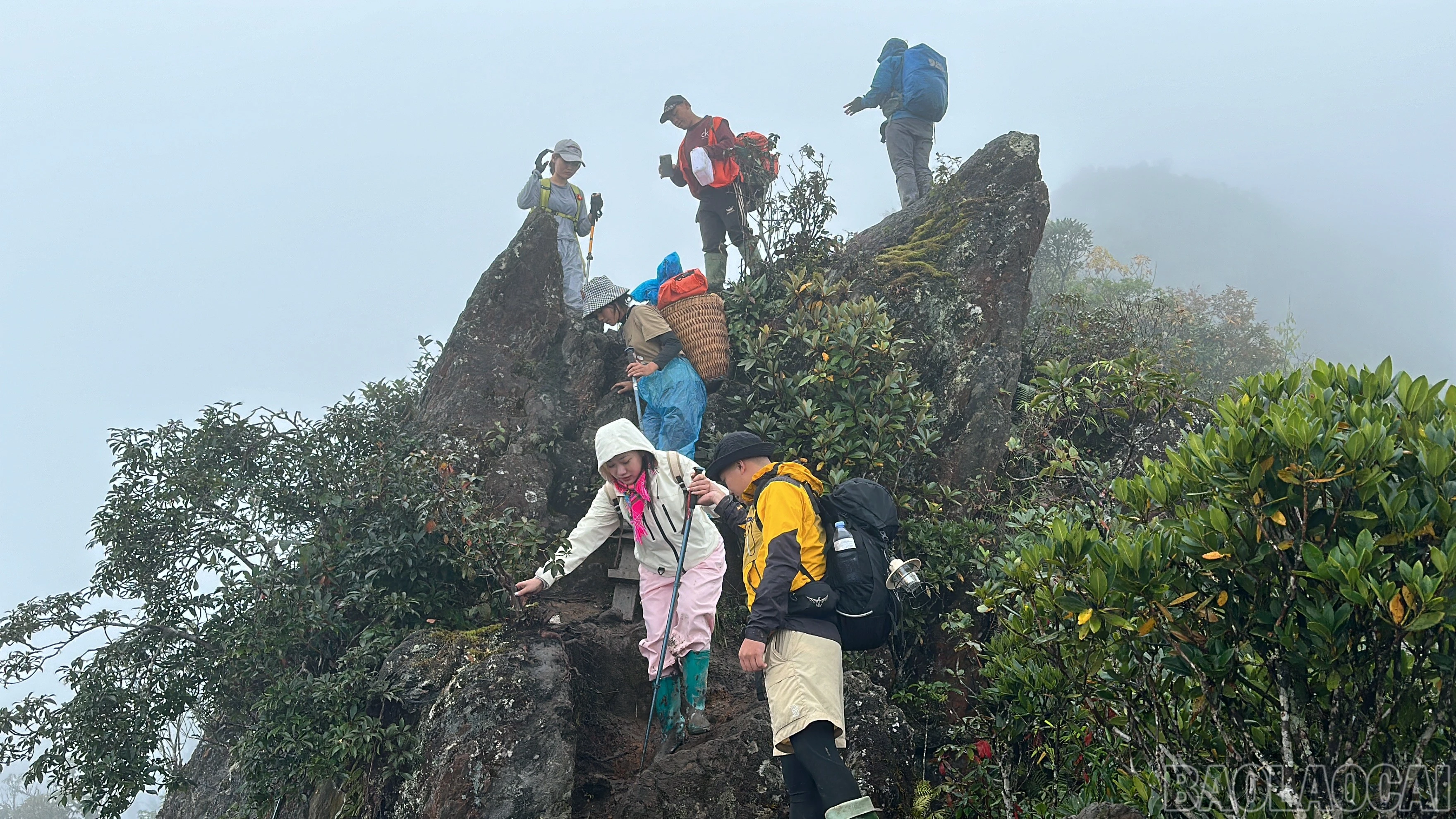baolaocai-br_img-7267.jpg