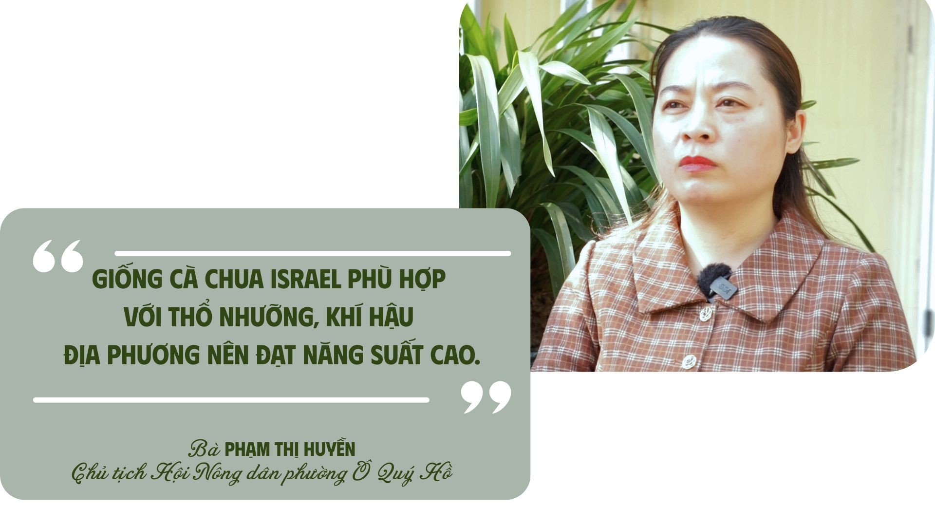 ៦.jpg