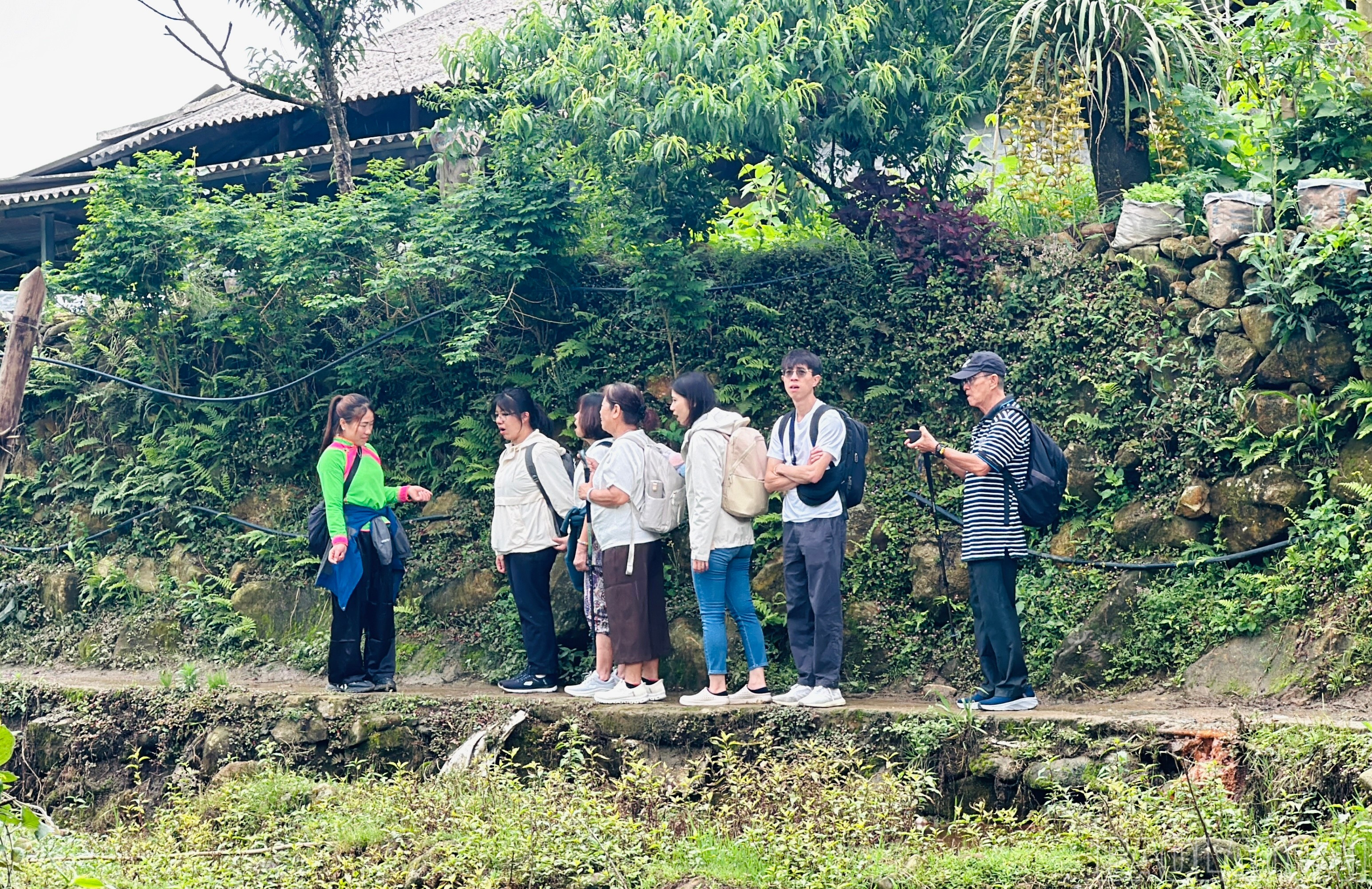 baolaocai-br_img-7394.jpg