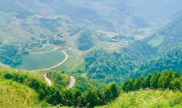 baolaocai-br_1.jpg
