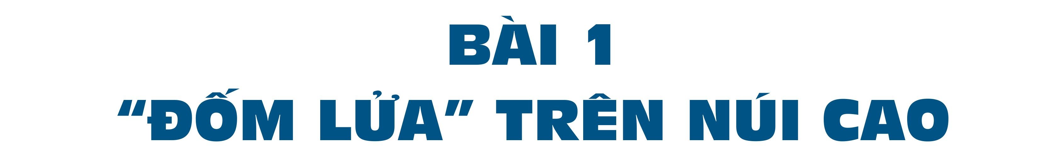 bai-1.jpg