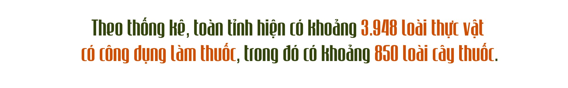 de-lao-cai-tro-thanh-trung-tam-duoc-lieu-quoc-gia4.png