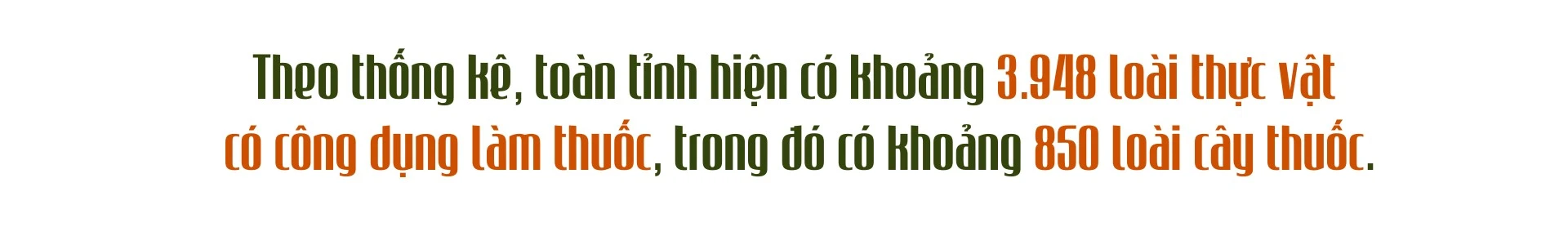 de-lao-cai-tro-thanh-trung-tam-duoc-lieu-quoc-gia4.png