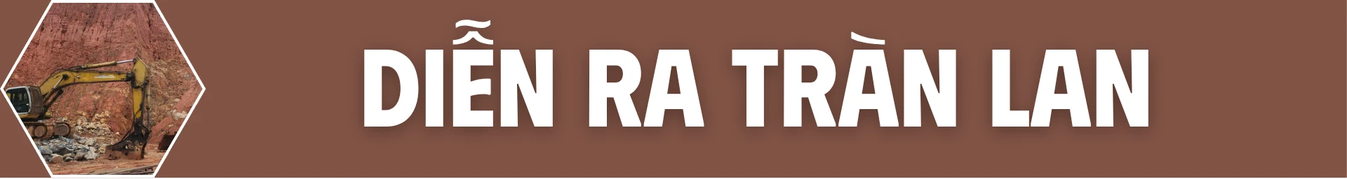 t1-8029.png