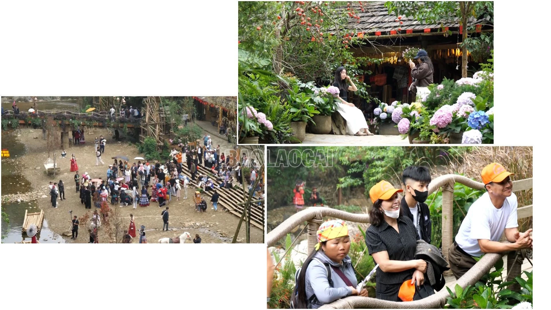 baolaocai-c_anh.jpg