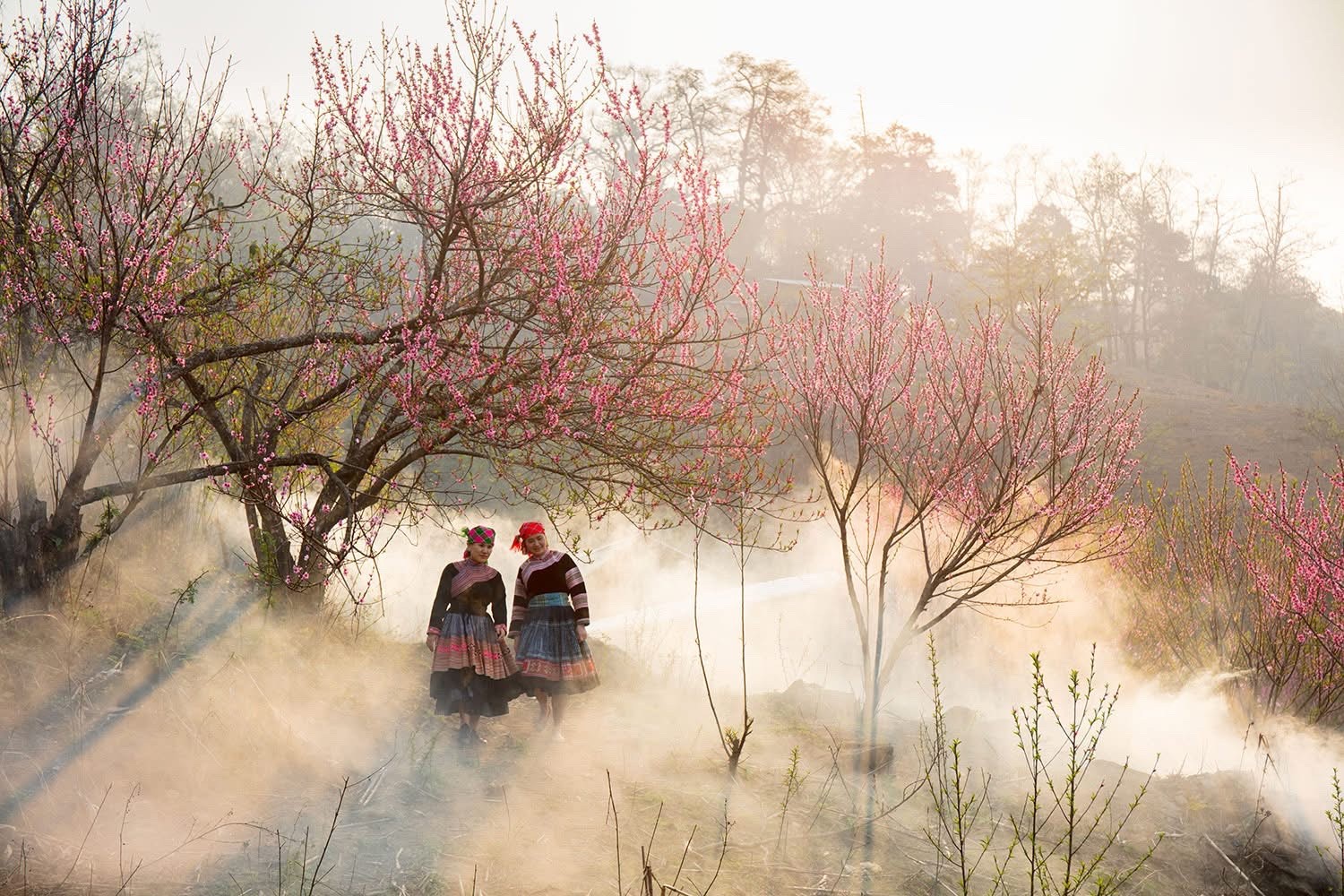 “Văn hóa là bản sắc của dân tộc, văn hóa còn thì dân tộc còn, văn hóa mất thì dân tộc mất”. z6737837122863-661b7d199fc2a9691b852b665286abfe.jpg