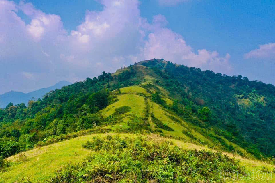 Những ngọn đồi thoải phù hợp để trekking. baolaocai-br_a-2.jpg