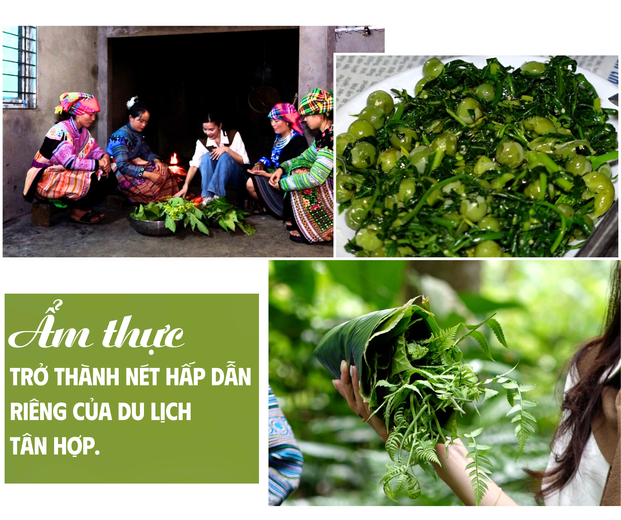 homestay-ninh-dozip-3.png