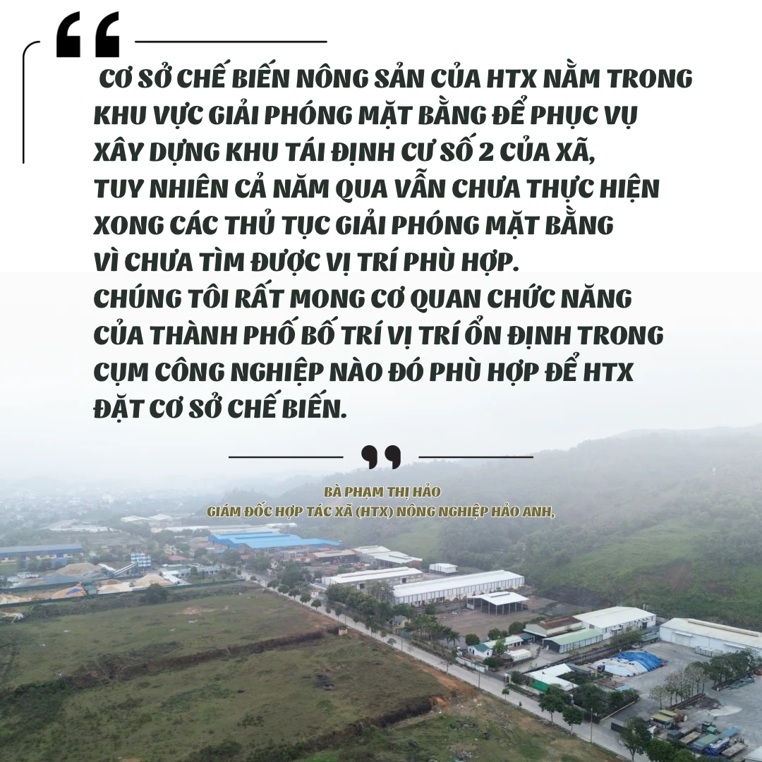 cum-cong-nghiep-bac-duyen-hai-dang-con-nheu-ton-tai-vuong-mac-can-thao-go-cho-doanh-nghiep-6.png