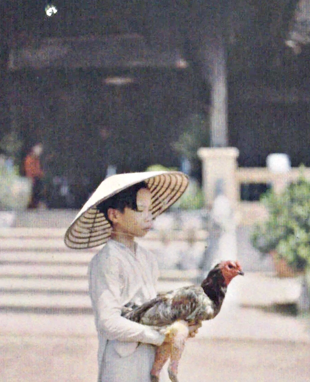 viet-nam-xua-601.jpg
