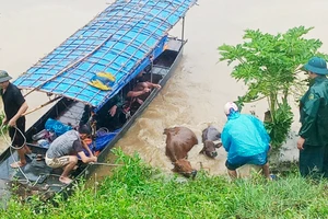Bảo Thắng: Phát huy phương châm “4 tại chỗ” khắc phục hậu quả lũ dữ