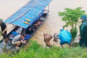 Bảo Thắng: Phát huy phương châm “4 tại chỗ” khắc phục hậu quả lũ dữ 