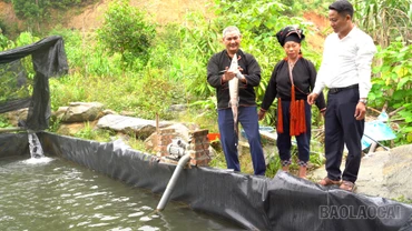 Phong Dụ Thượng phát triển kinh tế từ lợi thế địa phương