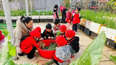 Vườn ươm của những mầm xanh