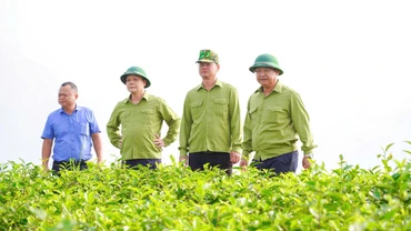 Phát triển nông nghiệp hàng hóa gắn với chuỗi giá trị - hướng đi bền vững của Mường Khương