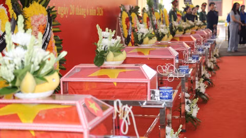 Từ đại ngàn các anh trở về