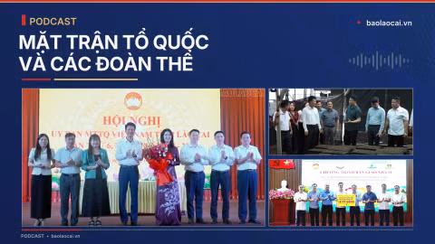 Bản tin Mặt trận Tổ quốc và các đoàn thể tỉnh Lào Cai ngày 20/10