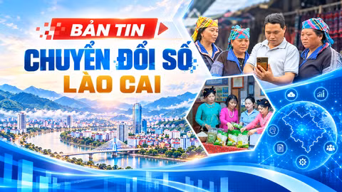 Bản tin Chuyển đổi số Lào Cai ngày 23/10