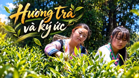 Hương trà và ký ức