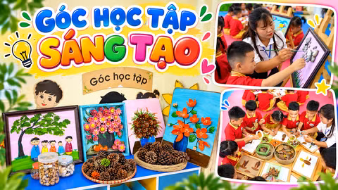 Phép mầu từ quả thông, sỏi đá và lá cây